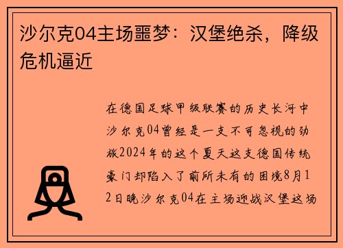 沙尔克04主场噩梦：汉堡绝杀，降级危机逼近